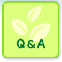 Q&A